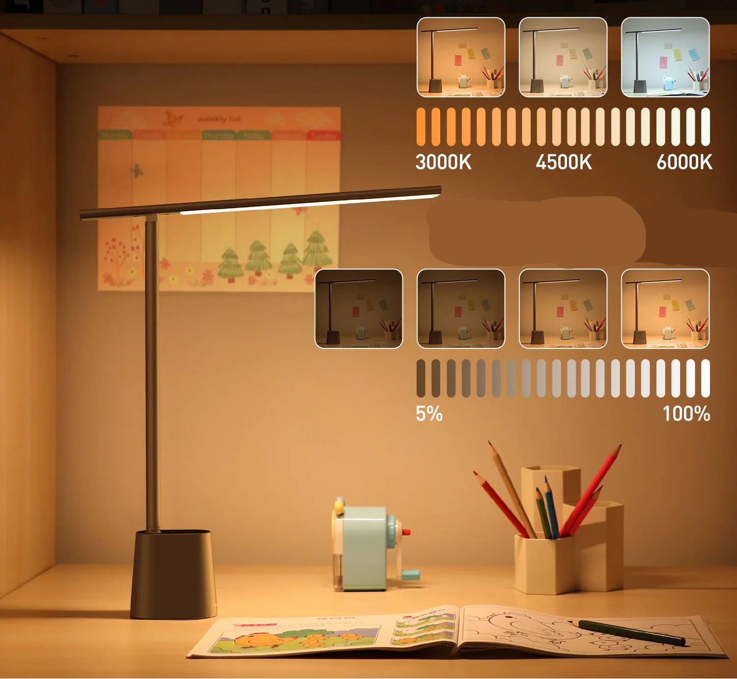 Lampe de Bureau Professionnelle