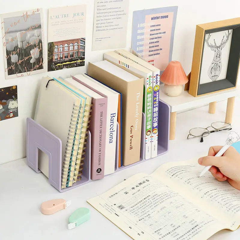 Organisateur de Bureau Livres